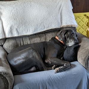 Meet your Posher, Vince